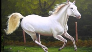 el carácter del caballo