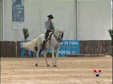 PRIMER CAMPEONATO DE ESPAÑA DE ALTA ESCUELA ESPAÑOLA.