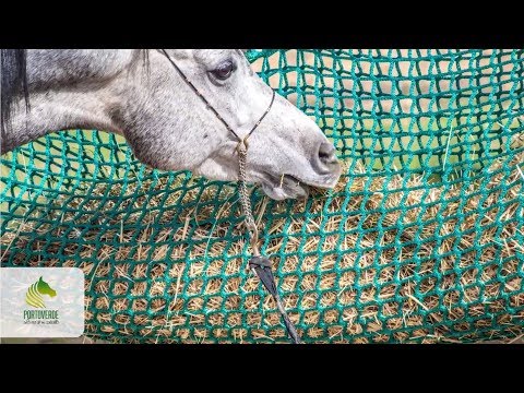 PRACTICA SLOW FEEDING PORTOVERDE - REDES HENO PARA CABALLO