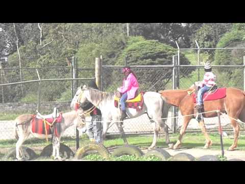 ASI ES EL JUNQUITO- Paseo en Caballos y Karting