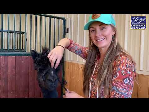 Amber Marshall: A Day in Her life