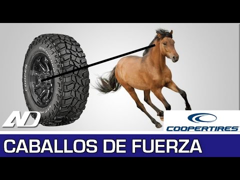 ¿Qué es un caballo de fuerza? - Cooper Consejos en AutoDinámico