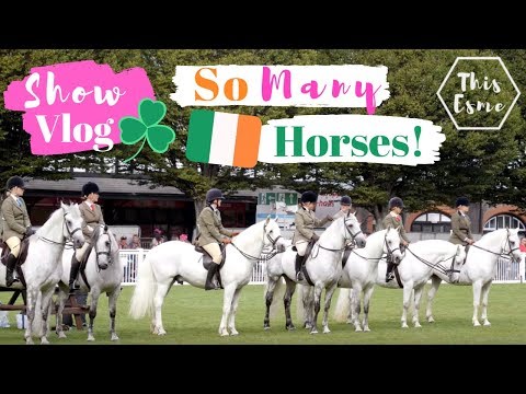 Dublin Horse Show 2019 - show vlog | AD | This Esme