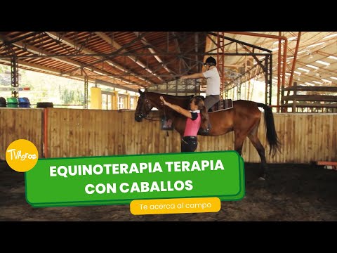 Equino Terapia: Terapia con caballos- TvAgro por Juan Gonzalo Angel Restrepo