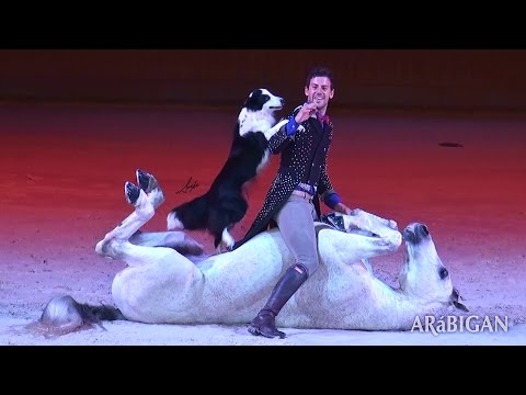 Santi Serra y sus caballos árabes en Casas Novas