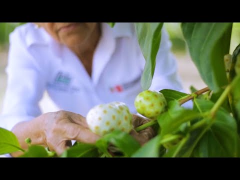 Día Internacional de la Diversidad Biológica