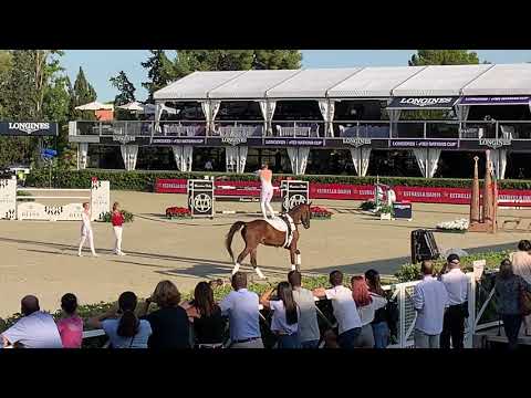 Exhibición en el CSIO 2019