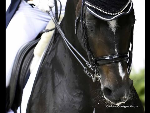 Allison Brock and Rosevelt Perform Elegant Dressage Freestyle.