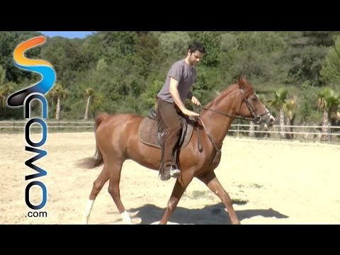 Cómo trotar a caballo