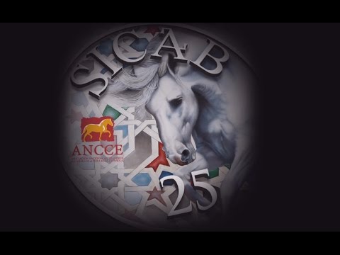 Vídeo conmemorativo 25 años de SICAB