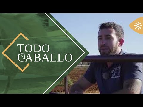 TodoCaballo | El método de doma natural para caballos con trastornos