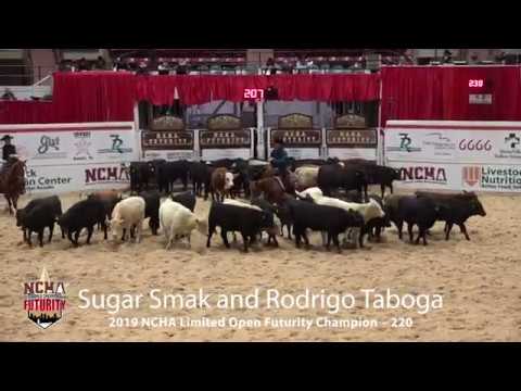 2019 NCHA Limited Open Futurity Champion