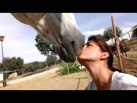 Cómo saber si el vínculo con tu caballo es fuerte.