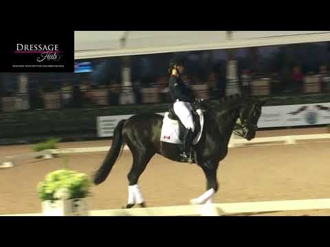 Carl Hester Masterclass: The Flying Change in Dressage