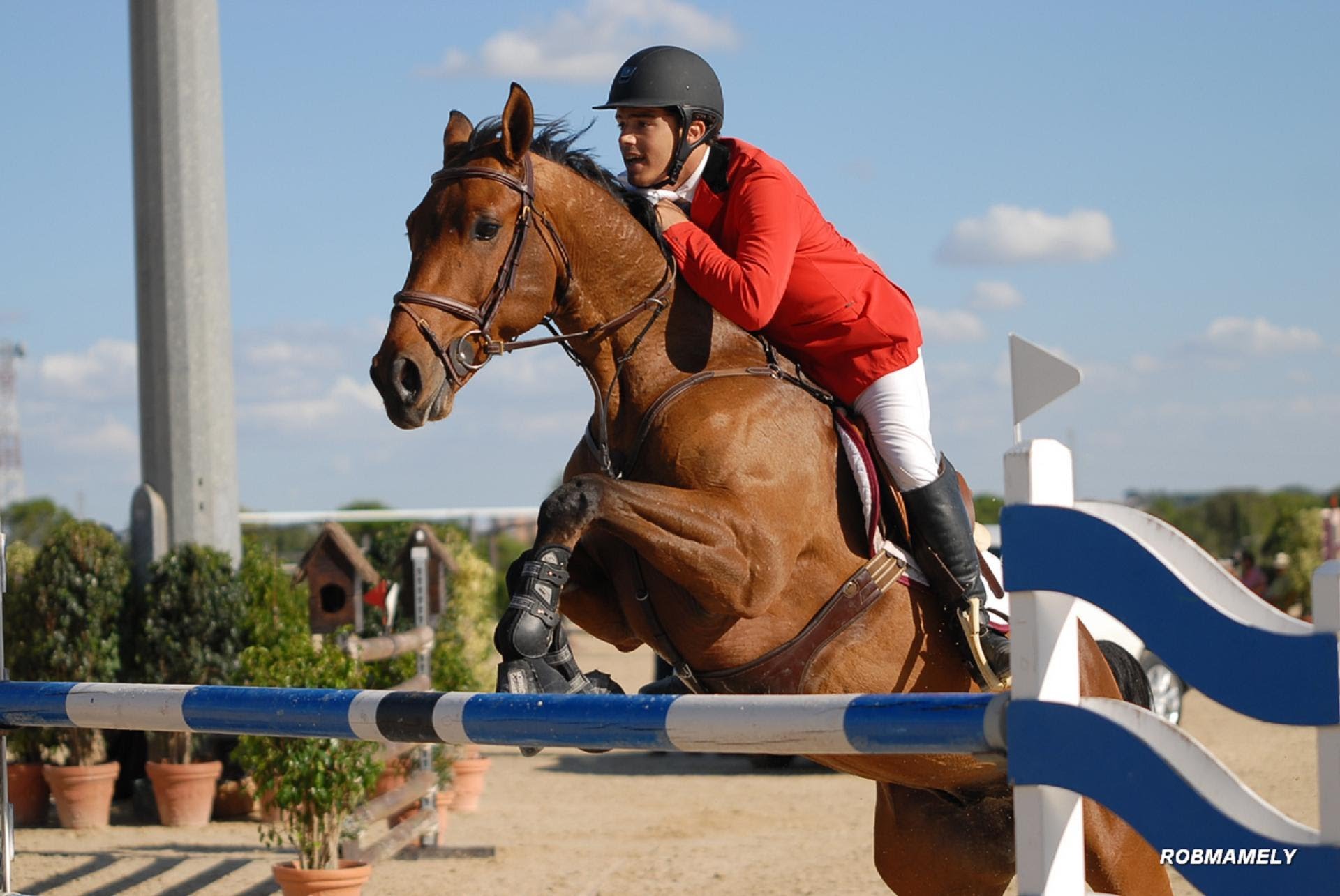 Modalidades de la Equitación Parte I