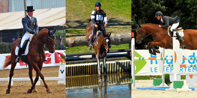 Carlos Díaz – Riesgo y Aventura