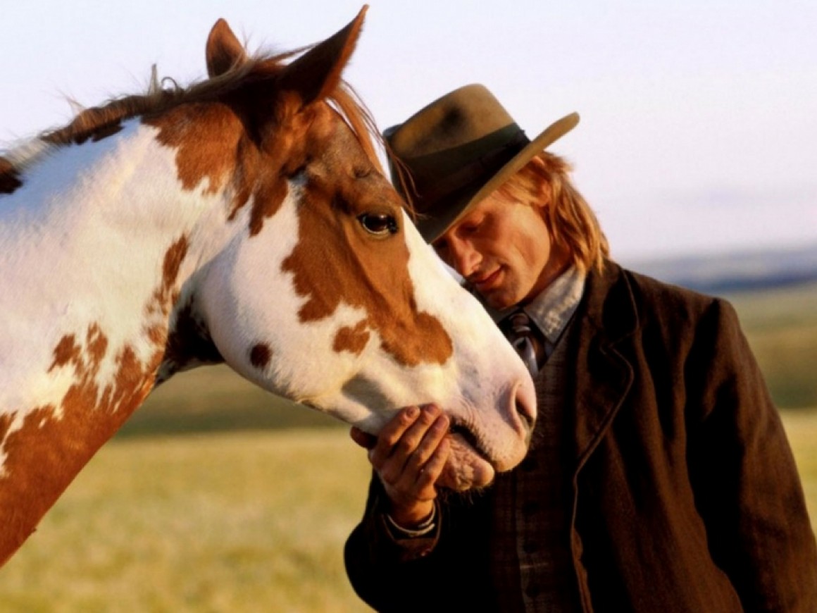 ¿Cuánto duran los caballos?