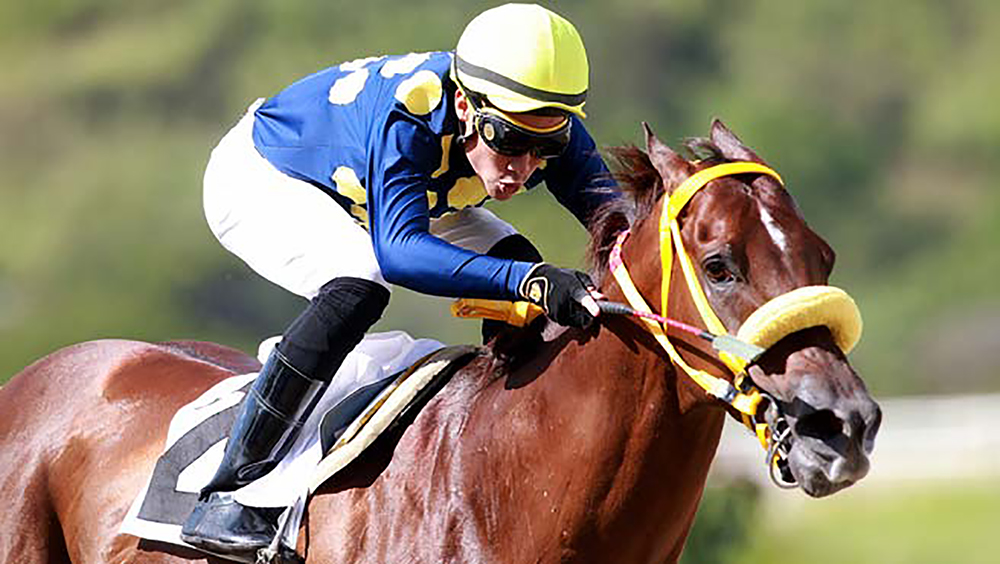 Gustavo Mirabal, un jinete ejemplar