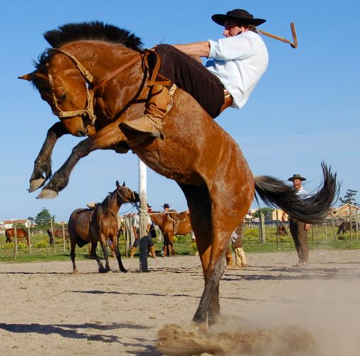 Jineteada gaucha