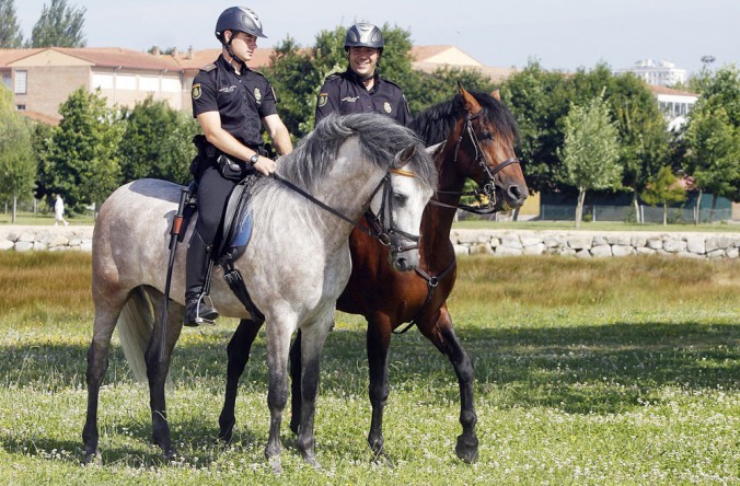 El caballo en la Policía Española