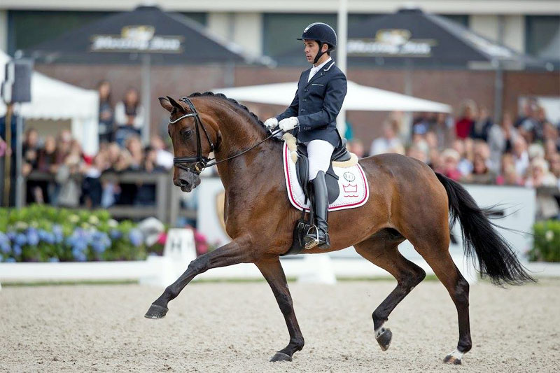 Campeonato Mundial de Doma