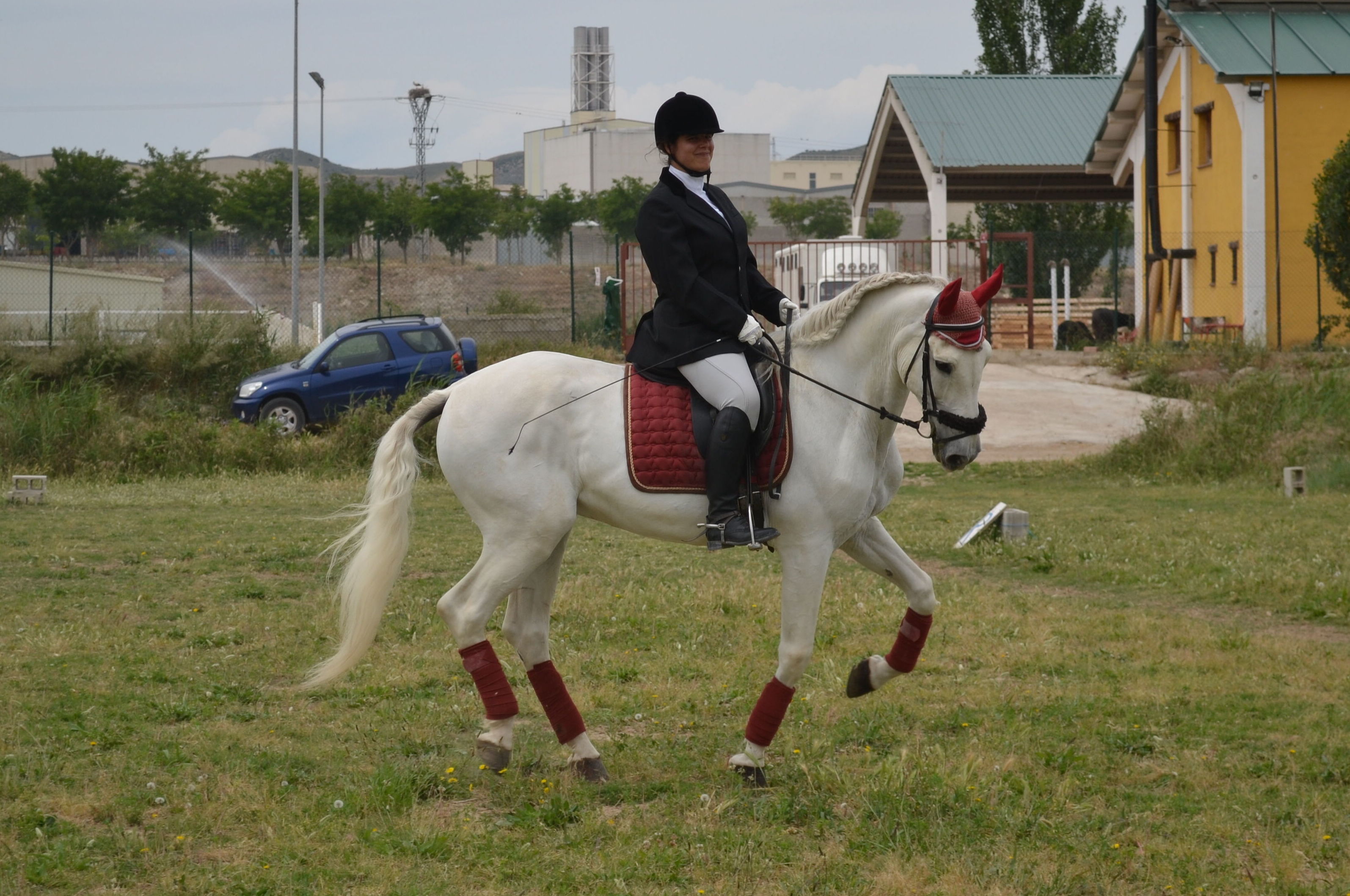 equitación Alexander