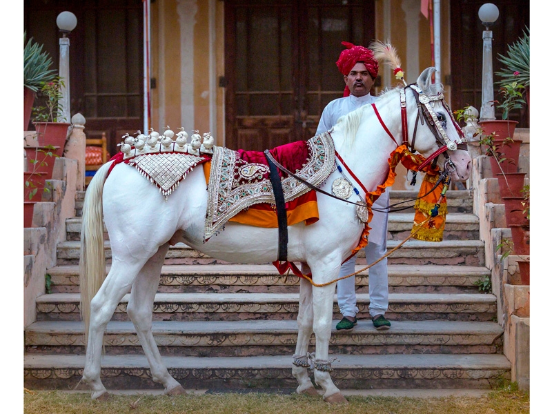 El caballo en la cultura hindú