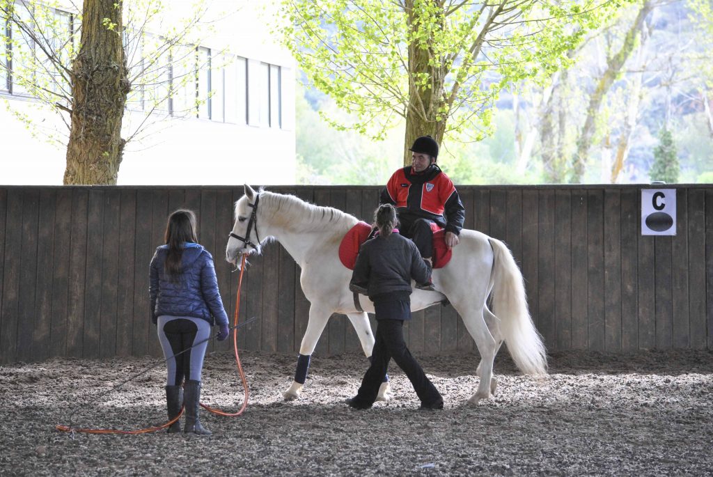 Entrenamiento caballo de terapia