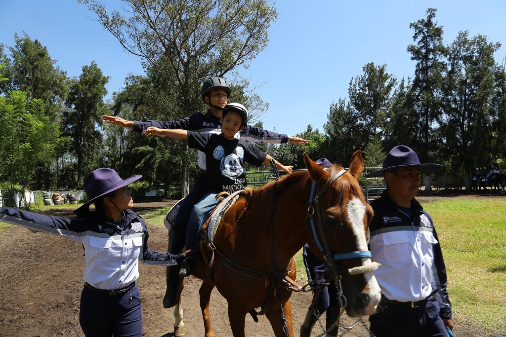 Seguridad en la Equinoterapia