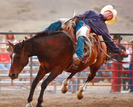 Rodeo estadounidense