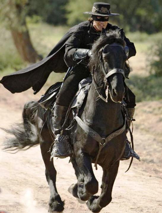 Tornado, el caballo del zorro