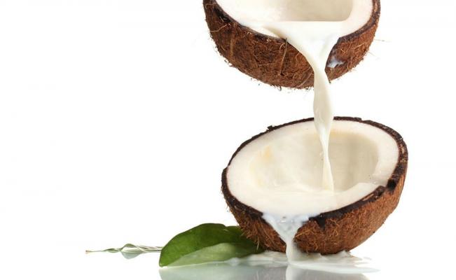 El coco y sus propiedades nutritivas para caballos