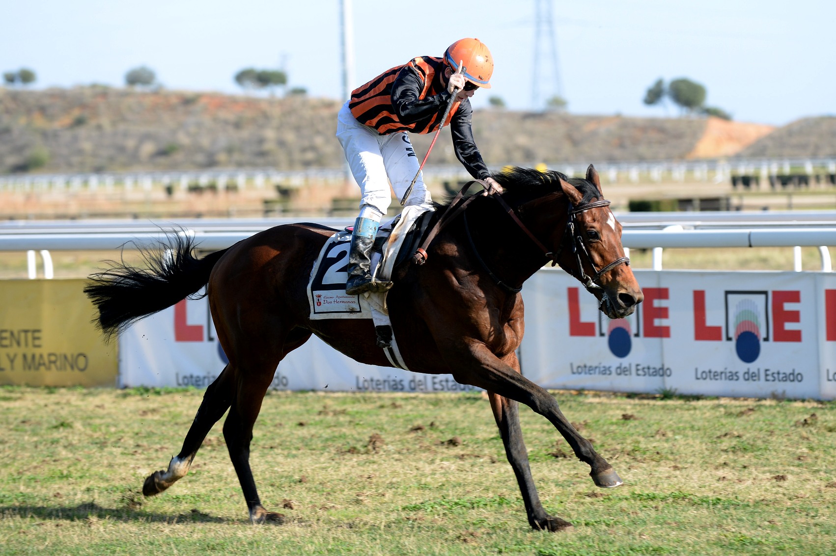 José Luis Martínez