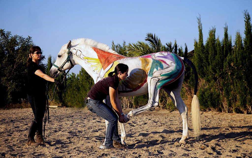 Fisioterapia en caballos