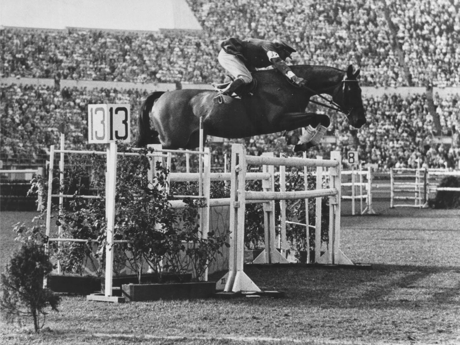 José Navarro Morenés