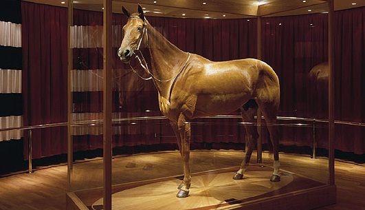 Phar Lap un caballo rey de corazones