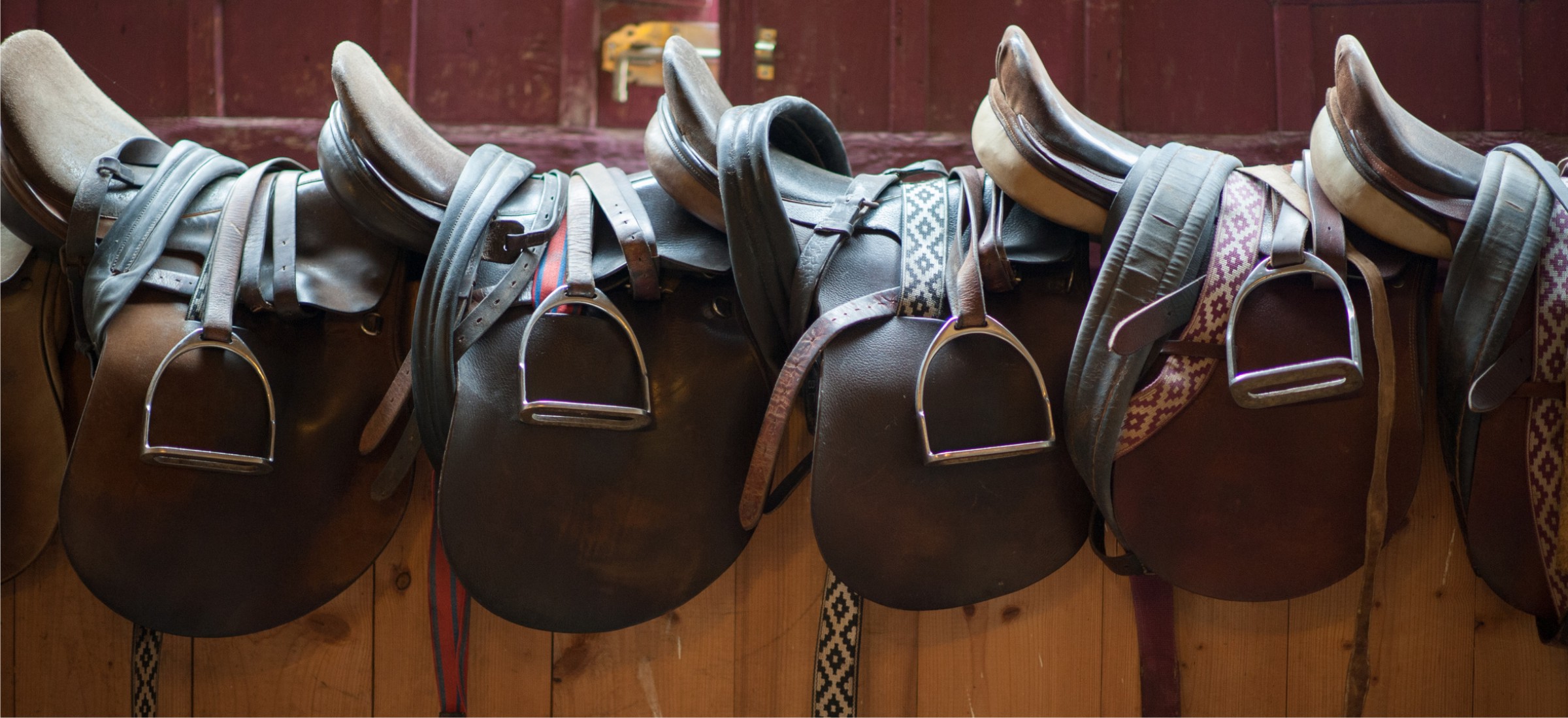 Silla de montar: su elección