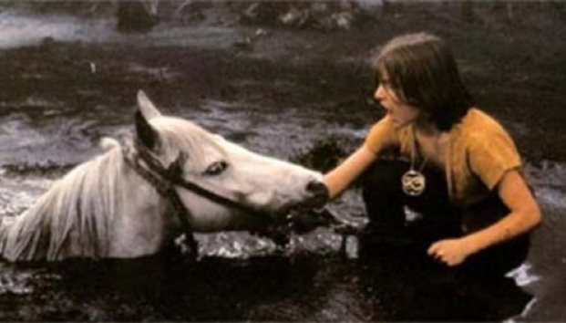 Caballo Artax una historia infinita