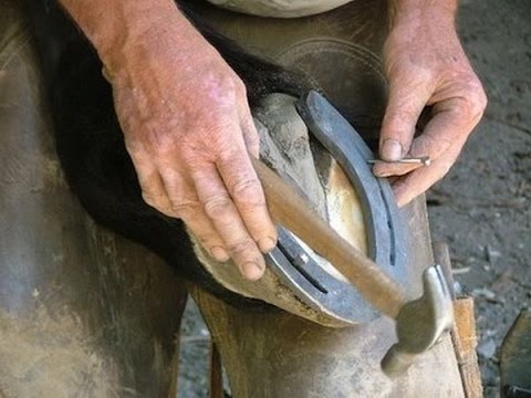 Herrador de caballos: Profesional apasionado