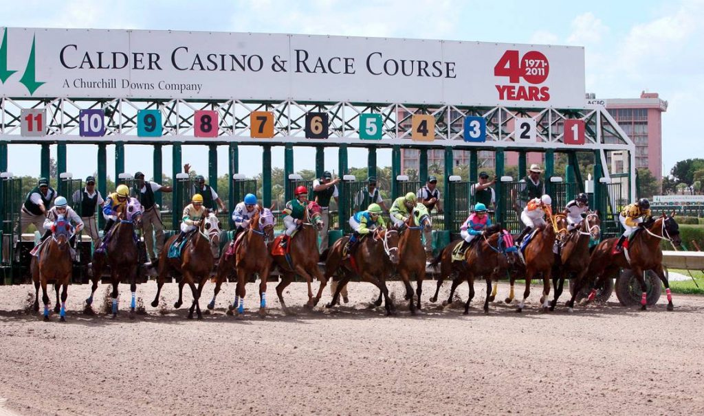hipodromo calder