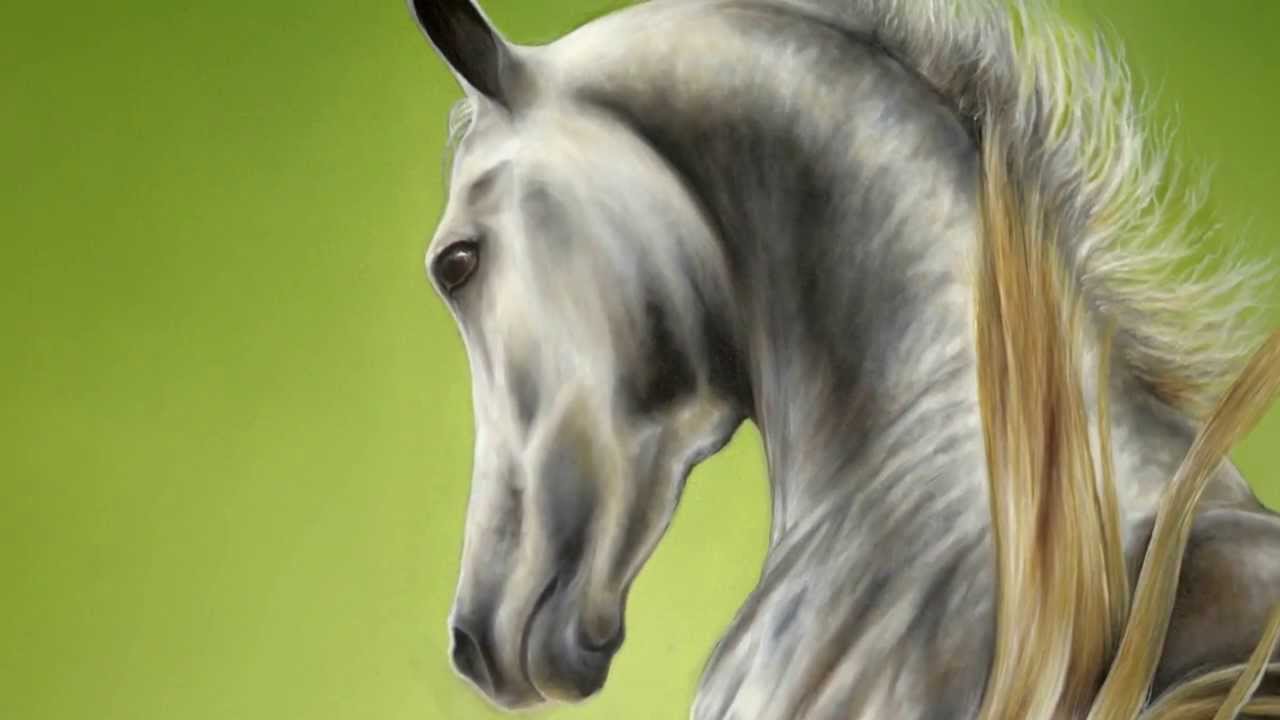 Arte equino Parte II