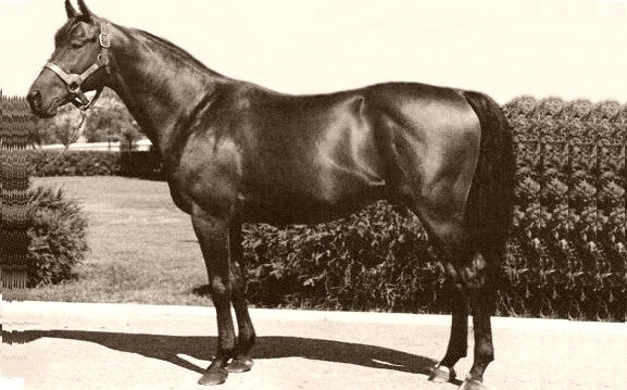 Citation el Primer Caballo Millonario