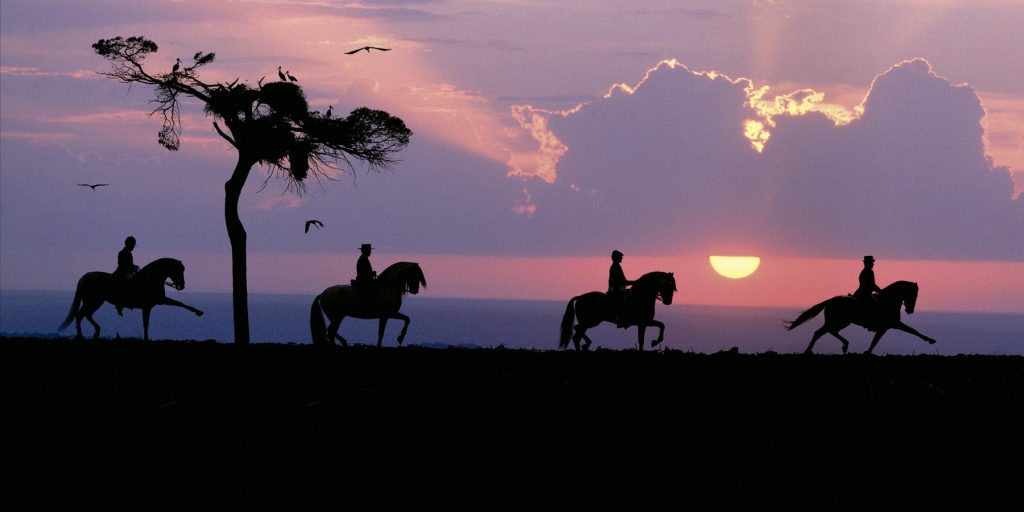 Comportamiento de los caballos