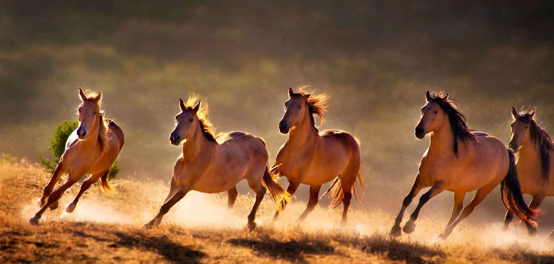 Importancia de los electrolitos