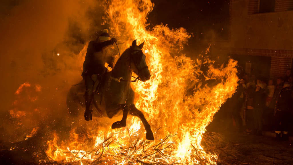 Festival de las Luminarias
