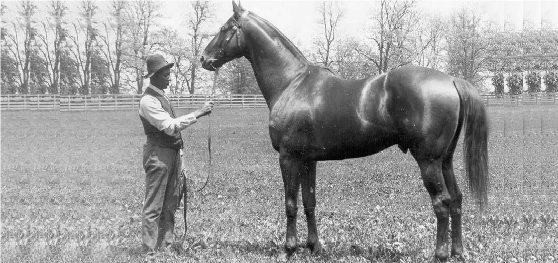 Man o ‘War el gran caballo rojo