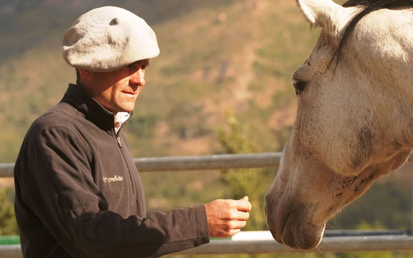 Paul Walker amansador de caballos