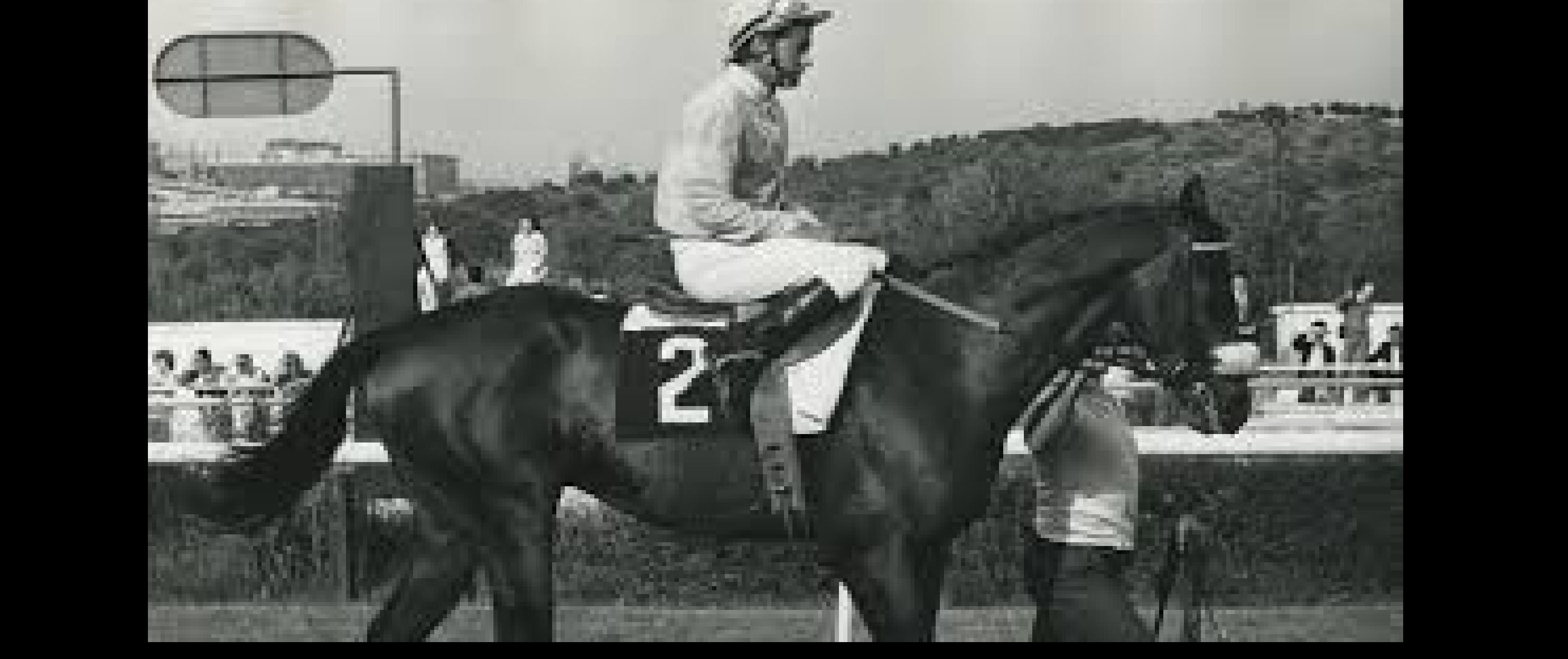 Jockey Román Martín