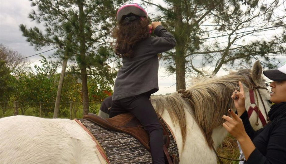 Estrategias terapéuticas sociomotores