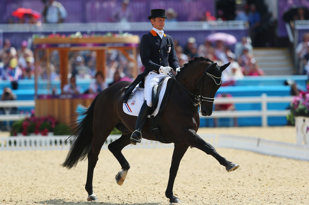 Adiestramiento de un caballo para la doma clásica